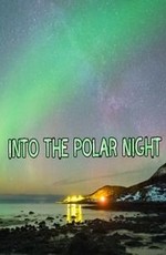 В полярную ночь