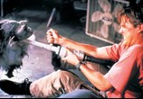 Сцена из фильма Зубастики 4 / Critters 4 (1991) Зубастики 4