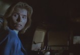 Сцена из фильма Зловещая луна / Bad Moon (1996) Зловещая луна сцена 8