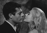 Сцена из фильма Сладкая жизнь / La Dolce vita (1960) Сладкая жизнь сцена 3