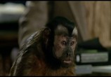 Сцена из фильма Обезьяна - убийца / Monkey Shines (1988) Обезьяна - убийца сцена 2