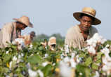 Сцена из фильма 12 лет рабства / 12 Years a Slave (2013) 