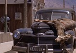 Сцена из фильма Плохой день в Блэк Рок / Bad Day At Black Rock (1955) Плохой день в Блэк Рок сцена 4