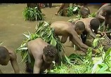 Сцена из фильма Жизнь по законам джунглей. Камерун / The Last Hunters in Cameroon (2013) Жизнь по законам джунглей. Камерун сцена 5