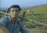 Сцена из фильма Падение кондора (1982) Падение кондора сцена 6
