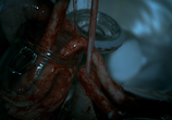Сериал Хемлок Гроув / Hemlock Grove (2013) - cцена 7 Сериал Хемлок Гроув / Hemlock Grove (2013) - cцена 7