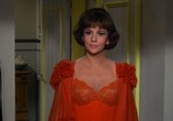 Сцена из фильма Странные супруги / Strange Bedfellows (1965) Странные супруги сцена 15