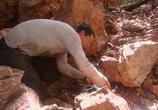 Сцена из фильма Discovery: Выжить любой ценой. Африканская саванна. Кимберли, Австралия / Man vs. Wild (2007) 