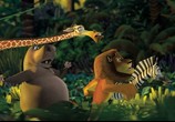 Сцена из фильма Мадагаскар / Madagascar (2005) Мадагаскар
