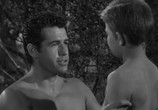 Сцена из фильма Тарзан и охотники с капканами / Tarzan and the Trappers (1958) Тарзан и охотники с капканами сцена 9