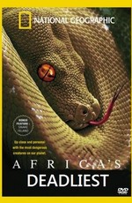 National Geographic: Хищники Африки