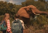 Сцена из фильма Против природы 2: Выжить в Серенгети / Against the Wild 2: Survive the Serengeti (2016) Против природы 2: Выжить в Серенгети сцена 15