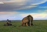 Сцена из фильма Удивительные селфи животных / Amazing Animal Selfies (2015) Удивительные селфи животных сцена 2