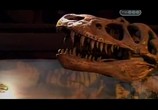 Сцена из фильма Затерянные миры. Кладбище динозавров (2010) Затерянные миры. Кладбище динозавров сцена 4