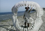 Сцена из фильма BBC: Прогулки с морскими чудовищами / Sea monsters: A Walking with Dinosaurs Trilogy (2003) BBC: Прогулки с морскими чудовищами сцена 7