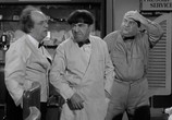 Сцена из фильма Трое комиков встречают Геркулеса / The Three Stooges Meet Hercules (1962) Трое комиков встречают Геркулеса сцена 1