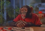 Сцена из фильма Шайбу,шайбу! / MVP: Most Valuable Primate (2000) Шайбу,шайбу! сцена 2