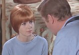 Сцена из фильма Элфи / Alfie (1966) Элфи сцена 5