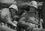 Сцена из фильма Пески Иво Джимы / Sands Of Iwo Jima (1949) Пески Иво Джимы сцена 1
