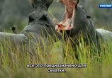 ТВ Бегемоты – жизнь в воде / Hippos: Africa's River Giants (2019) - cцена 3