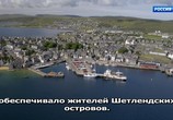 Сцена из фильма Дикая природа Шетлендских островов / Wild Shetland: Scotland's Viking Frontier (2019) Дикая природа Шетлендских островов сцена 8