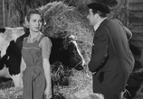Фильм Мужчины думают только об этом / Les hommes ne pensent qu'à ça (1954) - cцена 8
