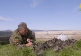 Сцена из фильма BBC: Мир природы. Исландия: Дикая жизнь / Natural World. Iceland a Wild Life (2015) BBC: Мир природы. Исландия: Дикая жизнь сцена 4