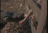Фильм Крокодил / Crocodile (2000) - cцена 2