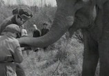 Сцена из фильма Солдат и слон (1978) Солдат и слон сцена 6