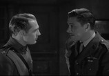 Сцена из фильма Утренний патруль / The Dawn Patrol (1938) Утренний патруль сцена 1