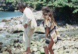 Фильм Спасшиеся с острова Черепахи / Les naufragés de l'île de la Tortue (1976) - cцена 1