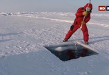 Сцена из фильма Арктическая экспедиция: дайвинг на полюсе / Deepsea Under The Pole (2010) Арктическая экспедиция: дайвинг на полюсе сцена 13