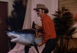 Фильм Смоки и Бандит 3 / Smokey and the Bandit Part 3 (1983) - cцена 1