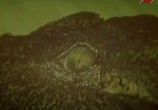 Сцена из фильма Таинственный мир крокодилов / The secret world of crocodiles (2011) 