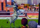 Мультфильм Мадагаскар / Madagascar (2005) - cцена 7