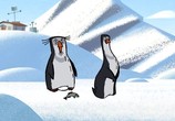 Сцена из фильма Чужой среди айсбергов (2014) Чужой среди айсбергов сцена 1