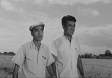 Фильм Засада / Harikomi (1958) - cцена 1