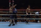 Сцена из фильма Токийский кулак / Tokyo Fist (1995) Токийский кулак сцена 1