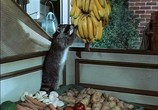 Сцена из фильма Шельмец / Rascal (1969) Шельмец сцена 3