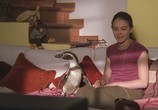 Сцена из фильма Пингвин Амундсен / Amundsen der Pinguin (2003) Пингвин Амундсен сцена 3