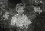 Сцена из фильма Тревожная молодость (1955) Тревожная молодость сцена 3