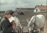 Сцена из фильма Когда поют соловьи (1956) Когда поют соловьи сцена 1