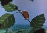 Мультфильм Путешествие муравья (1983) - cцена 1