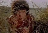 Фильм Пляжный домик / Casotto (1977) - cцена 1