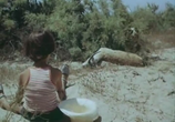 Сцена из фильма Только остров не возьмешь с собой... (1980) 