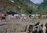 Сцена из фильма Корсиканские братья / I fratelli Corsi (1961) Корсиканские братья сцена 1