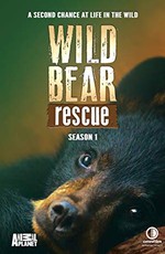 Спасение диких медведей