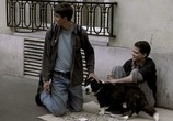 Сцена из фильма Истина в вине / Adieu, plancher des vaches! (1999) Истина в вине сцена 6