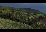 Сцена из фильма Цвета Италии / The Colors of Italy (2018) Цвета Италии сцена 5