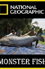 National Geographic: Охотник на пресноводных гигантов